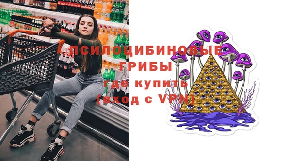 дурь Лабытнанги