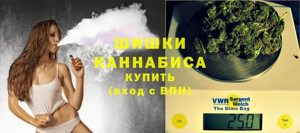 дурь Лабытнанги