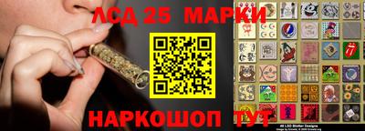 гидропоника Гусев