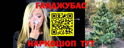 гидропоника Гусев