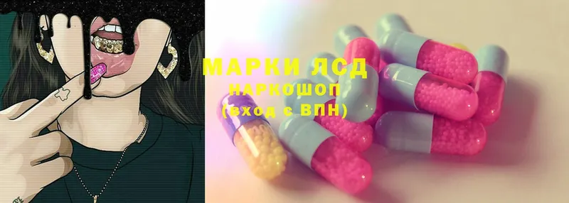 ЛСД экстази ecstasy  купить наркоту  Новоалтайск 