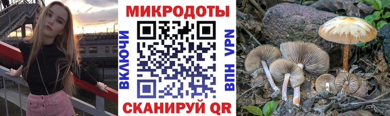 Галлюциногенные грибы Magic Shrooms  Новоалтайск 
