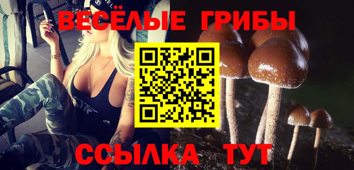 Галлюциногенные грибы GOLDEN TEACHER Новоалтайск
