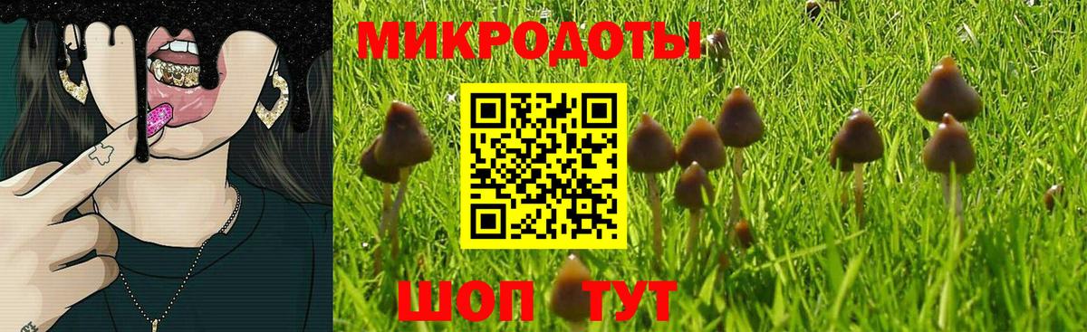 Галлюциногенные грибы Magic Shrooms  Вход с VPN  Новоалтайск  где купить   Псилоцибиновые грибы Magic Shrooms 